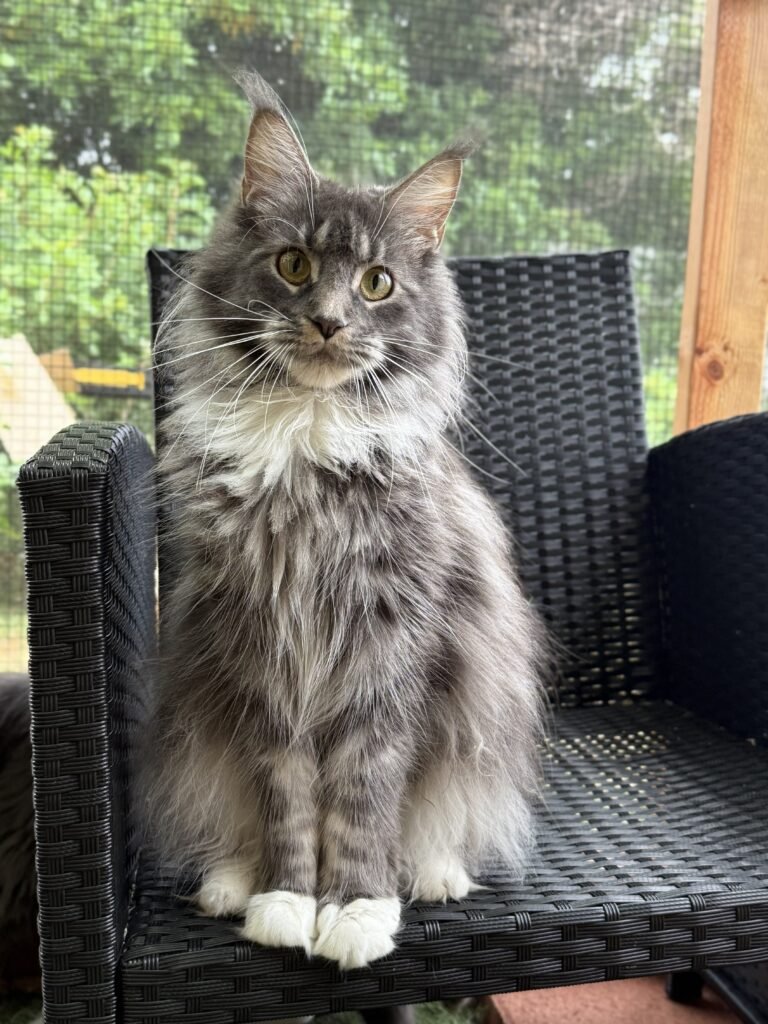 Fiona
