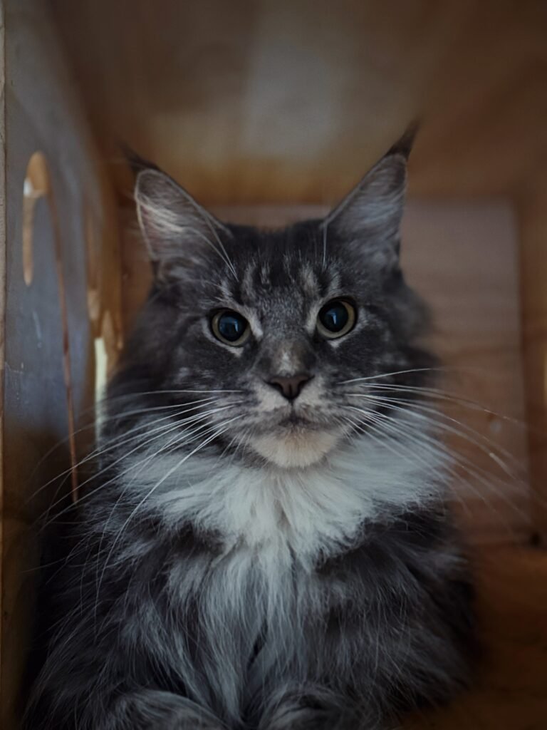 Fiona