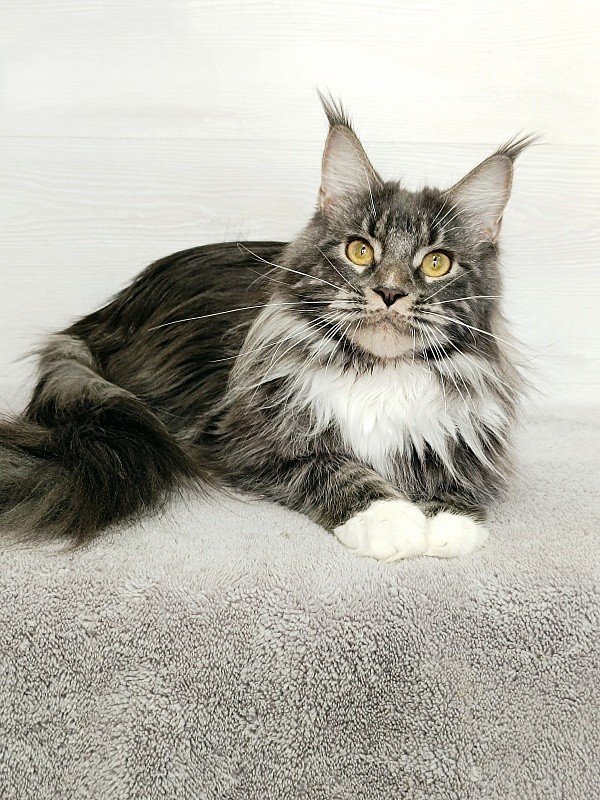 Fiona